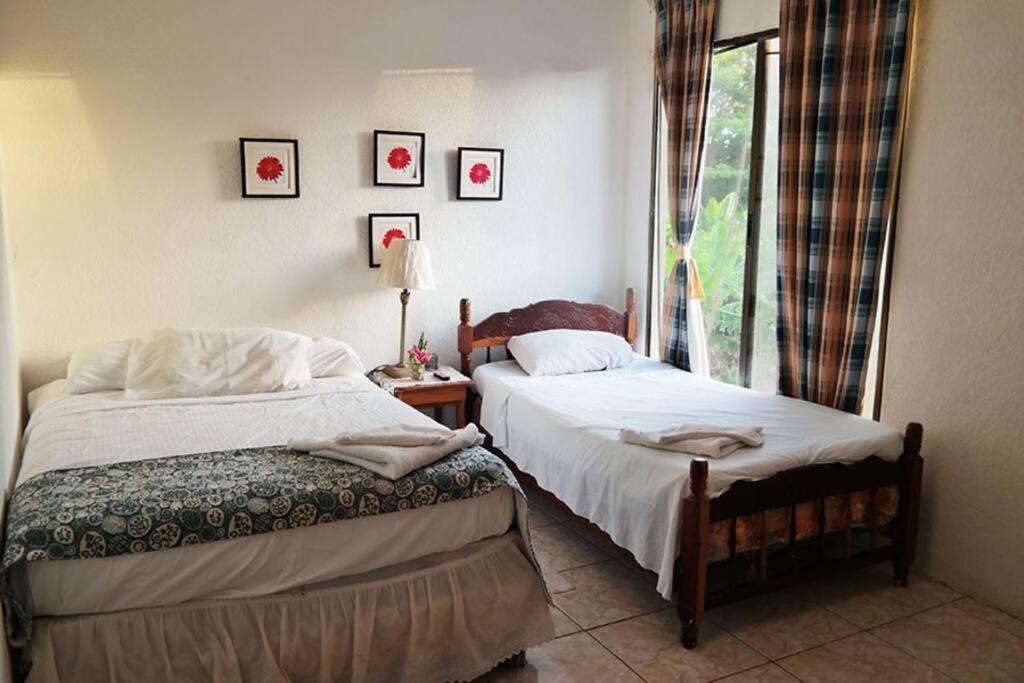Lulu Beach Hotell Corn Island Eksteriør bilde